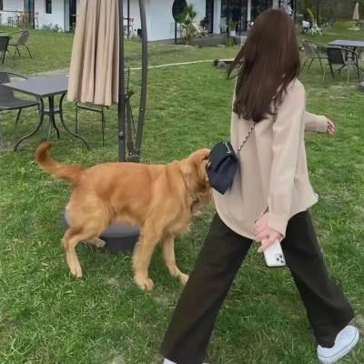 超体